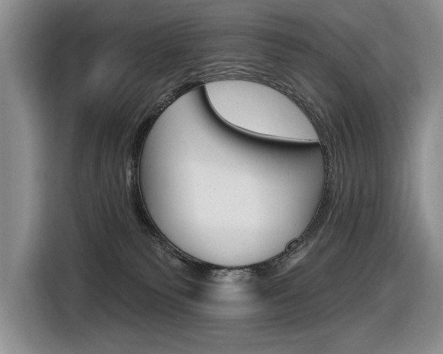 X0000116630135200912111008