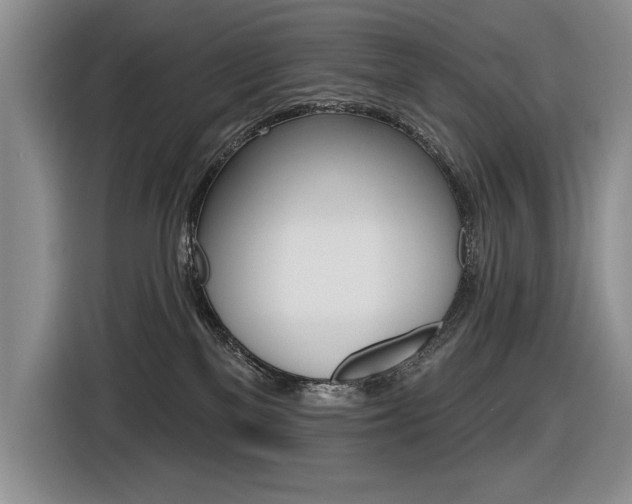 X0000116630137200912111008