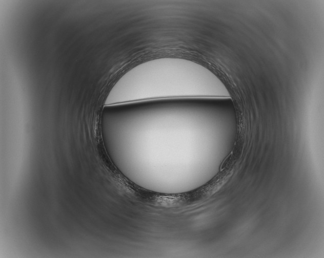 X0000116630139200912111008
