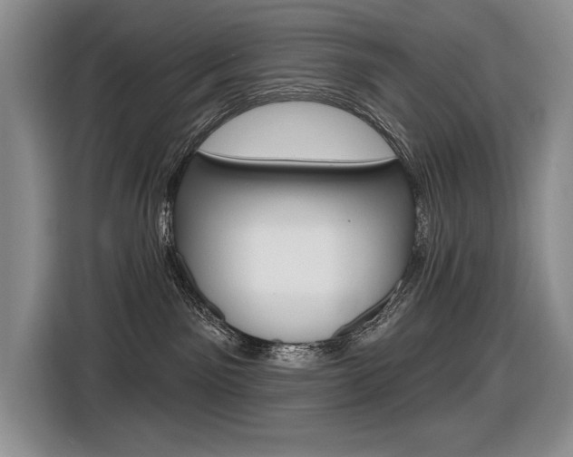 X0000116630141200912111008