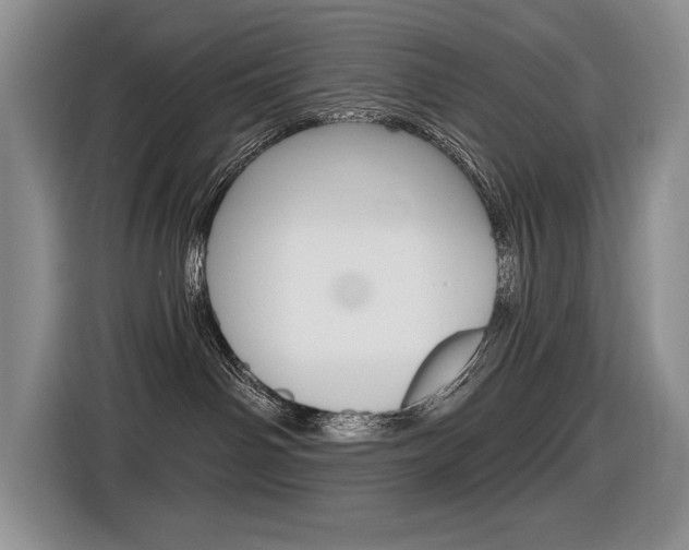X0000116630142200912111008
