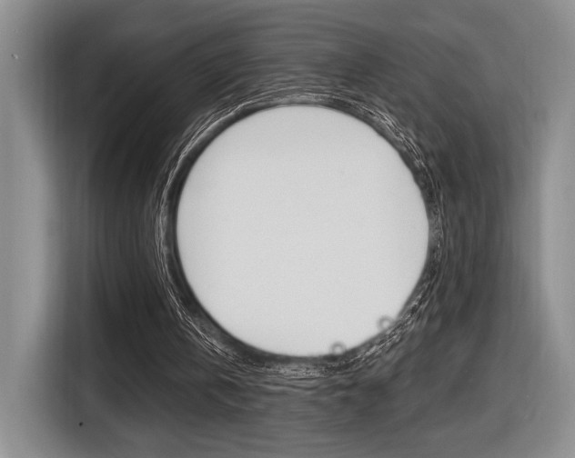 X0000116630146200912111007