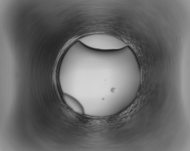X0000116630147200912111008