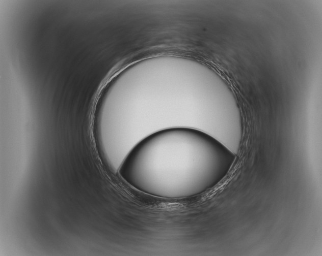 X0000116630150200912111008
