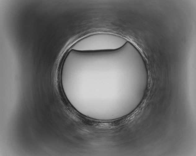 X0000116630151200912111008