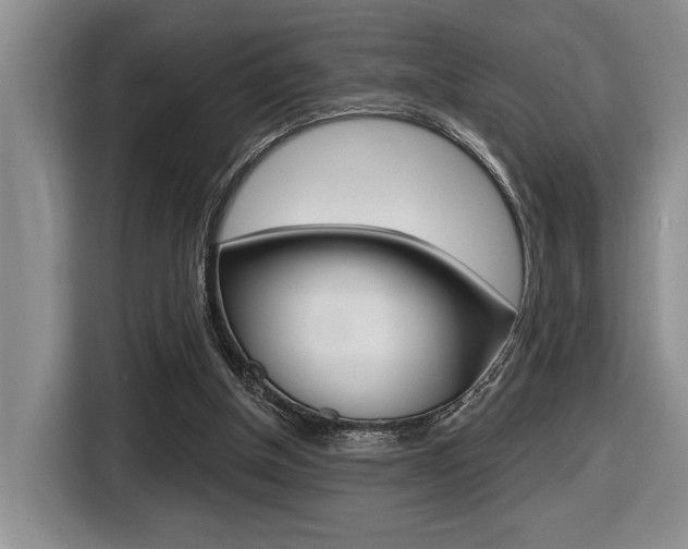 X0000116630154200912111008