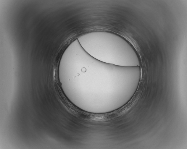 X0000116630157200912111008