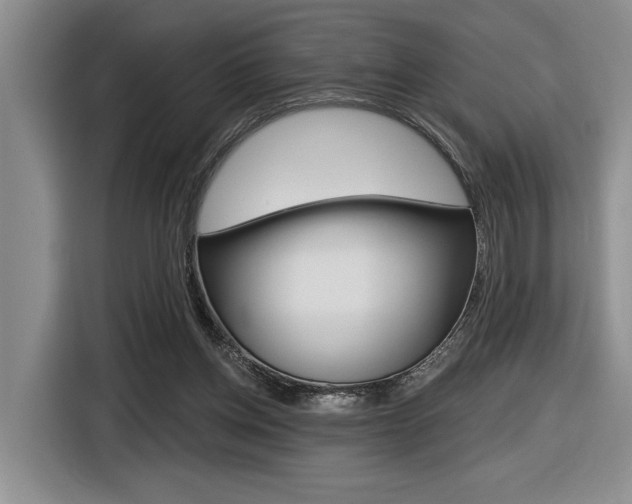 X0000116630158200912111008