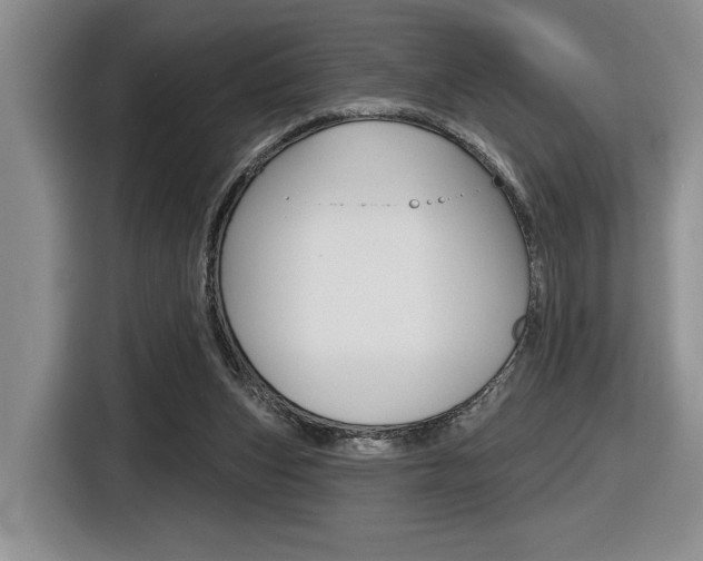 X0000116630159200912111008