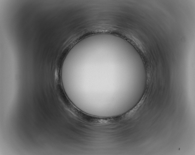 X0000116630166200912111008