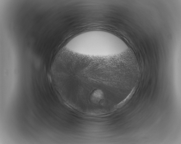 X0000116630171200912111008