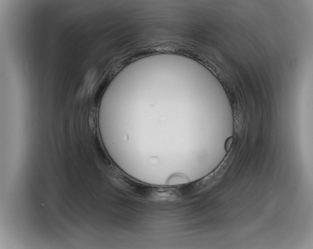 X0000116630175200912111008