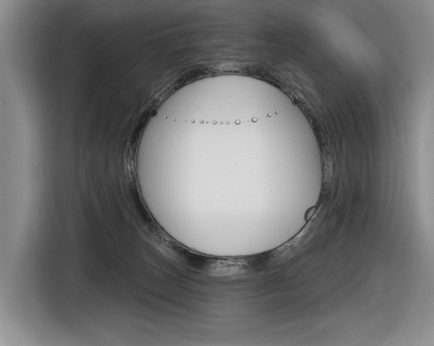 X0000116630179200912111008