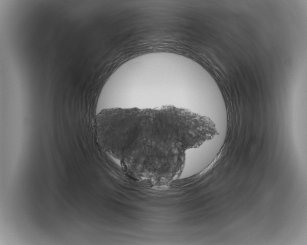 X0000116630183200912111008