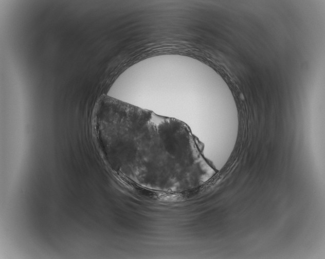 X0000116630185200912111008
