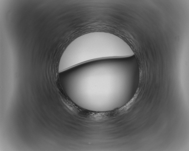 X0000116630186200912111008