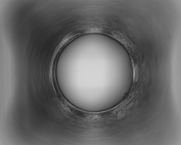 X0000116630195200912111007