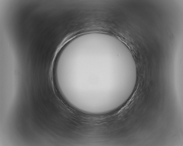 X0000116630198200912111007