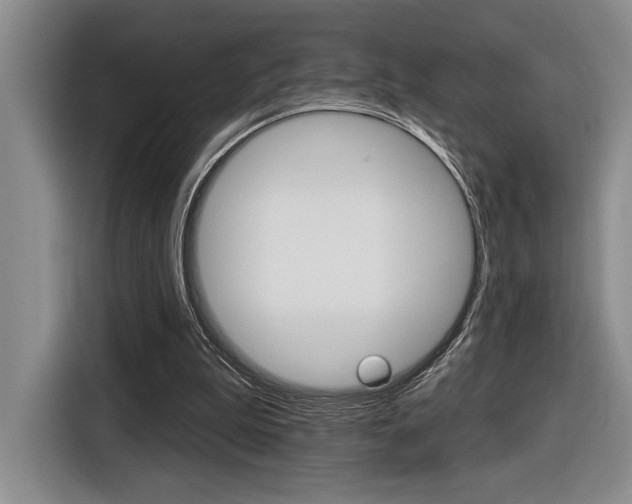 X0000116630199200912111007