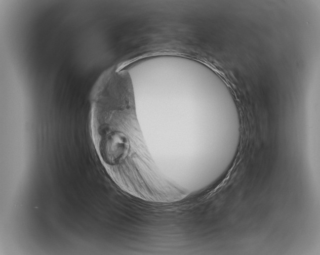 X0000116630200200912111007