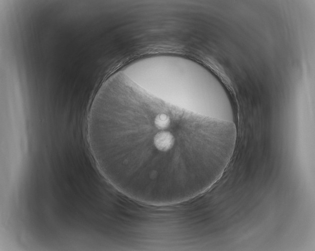 X0000116630202200912111007