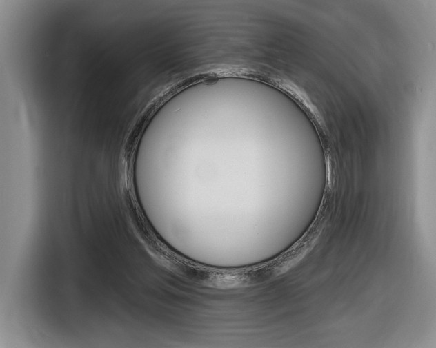 X0000116630205200912111007