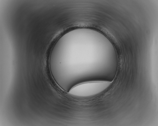 X0000116630208200912111007
