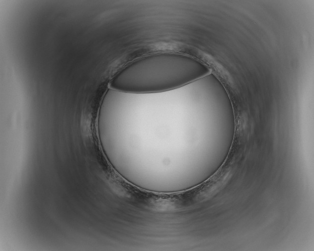 X0000116630209200912111007