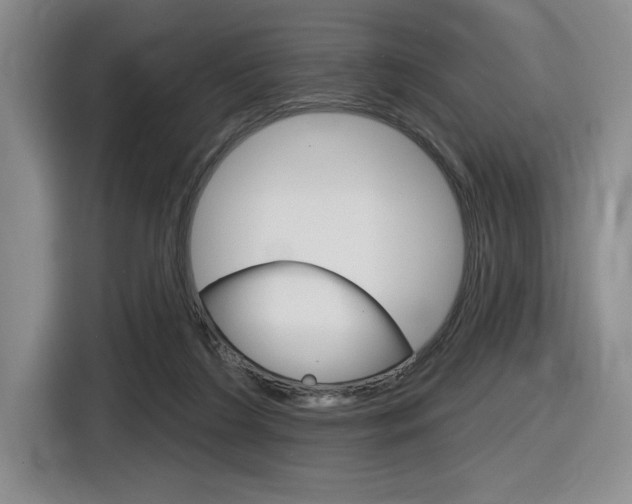 X0000116630212200912111007