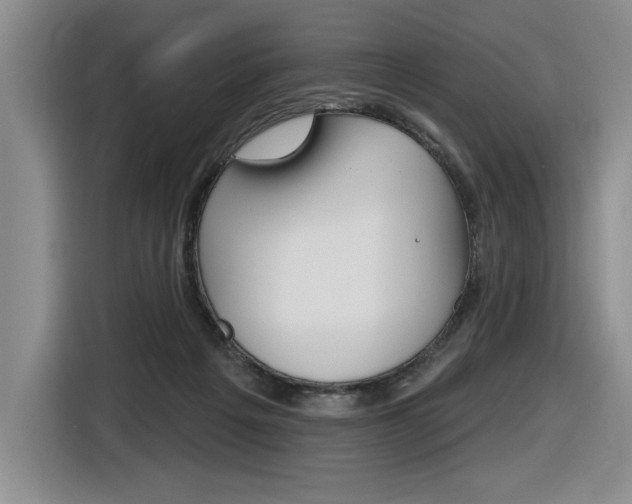 X0000116630217200912111007
