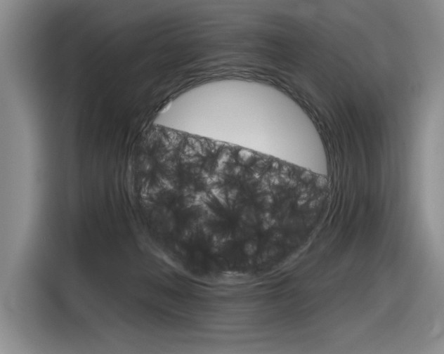 X0000116630222200912111007