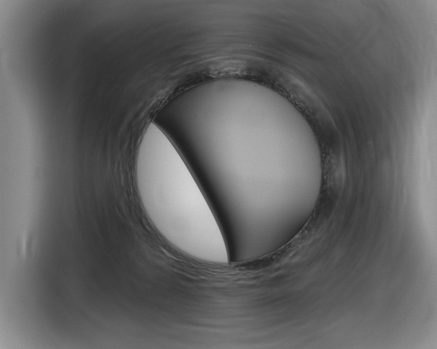 X0000116630224200912111007