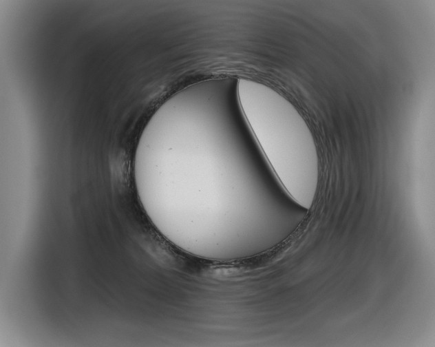 X0000116630228200912111007