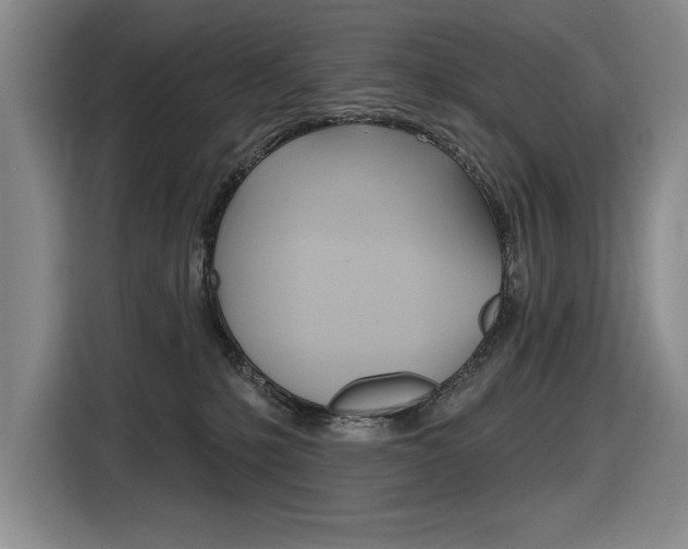 X0000116630231200912111007