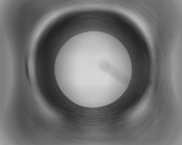 X0000116630239200912111007