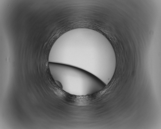 X0000116630240200912111007