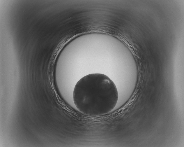 X0000116630241200912111006