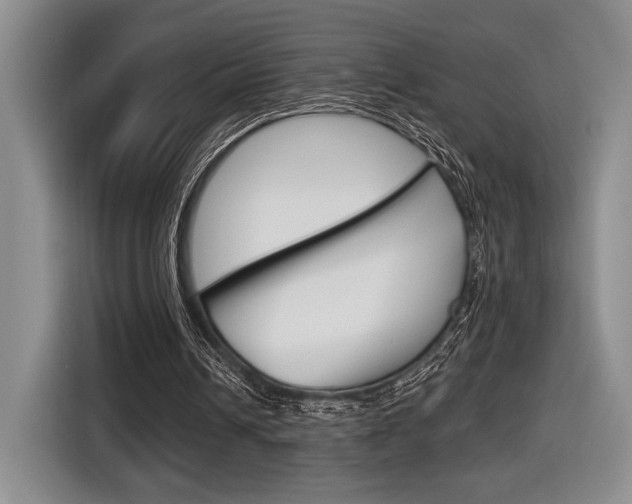 X0000116630242200912111006