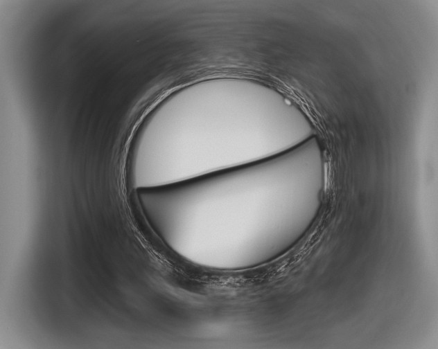 X0000116630243200912111006