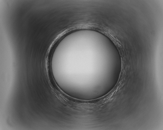 X0000116630244200912111006