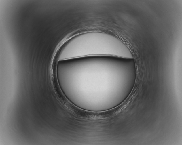 X0000116630246200912111006