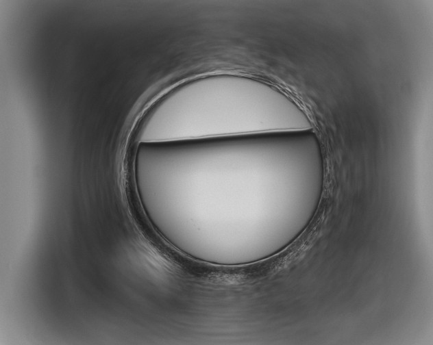 X0000116630247200912111006