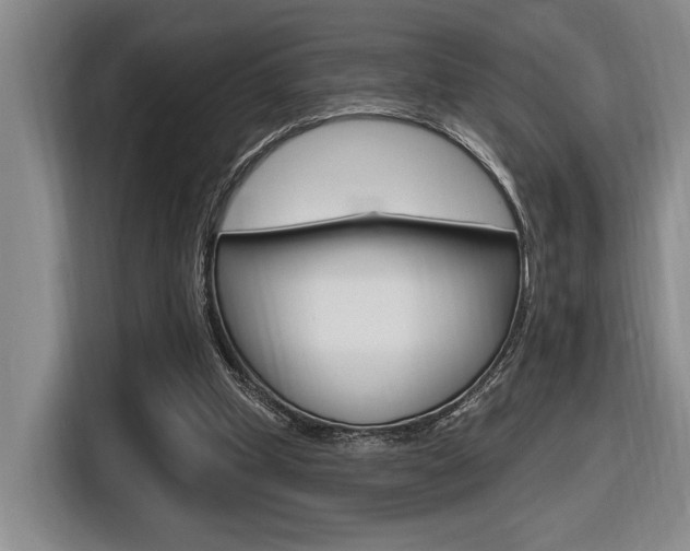 X0000116630249200912111006
