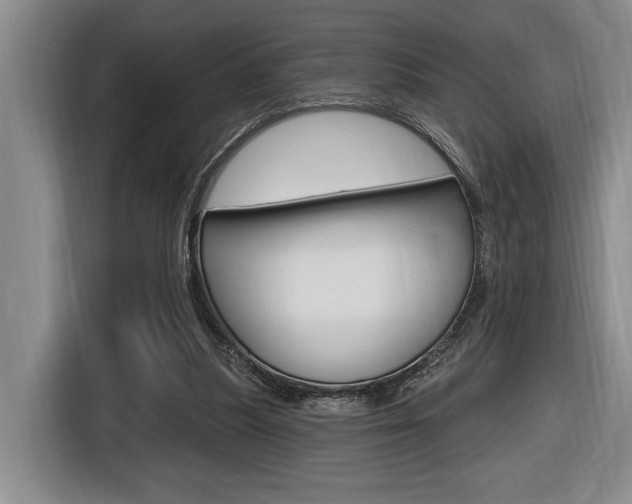 X0000116630251200912111006
