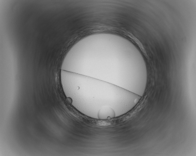 X0000116630257200912111006
