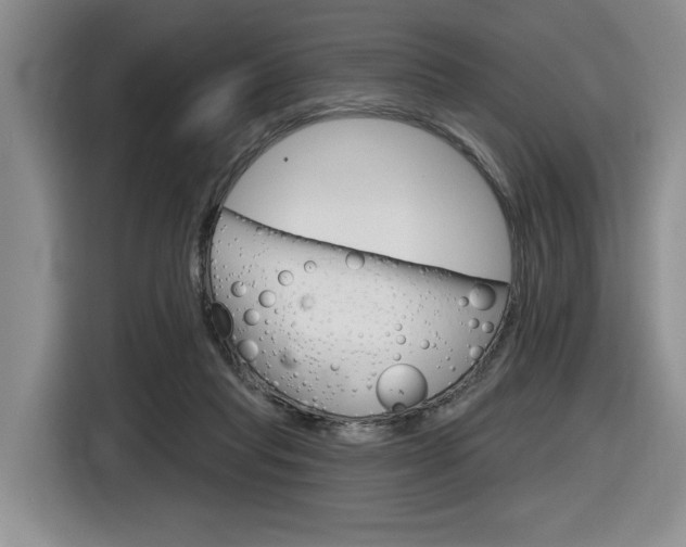 X0000116630261200912111006
