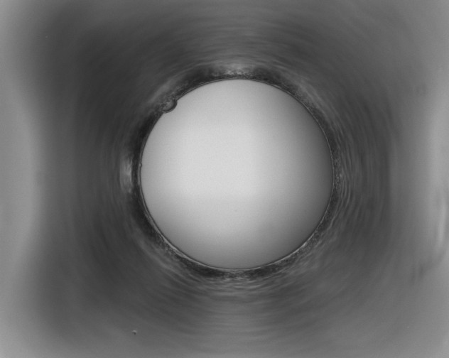 X0000116630262200912111007