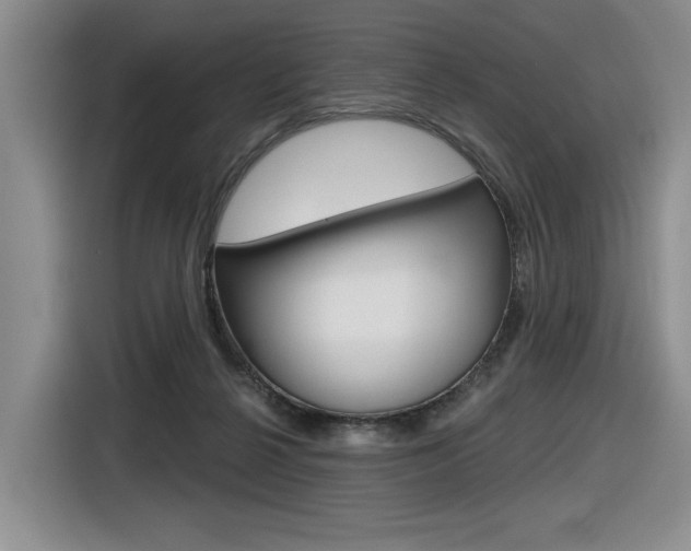 X0000116630264200912111007