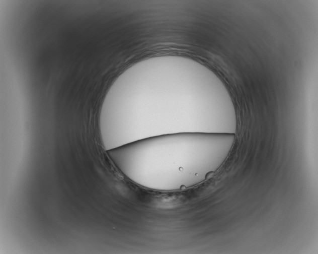X0000116630267200912111007