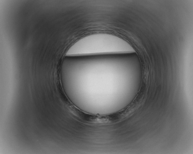 X0000116630270200912111007